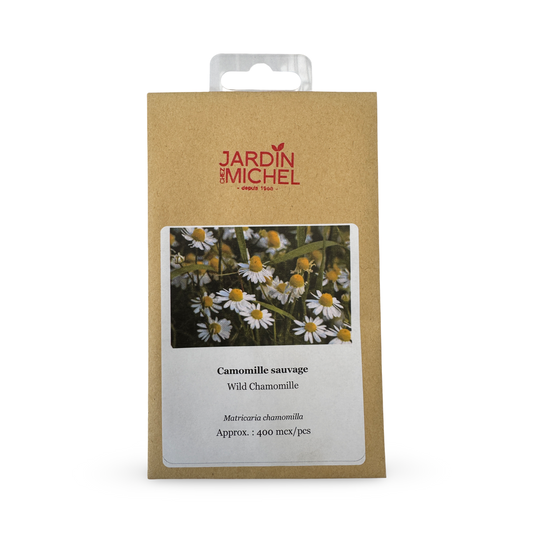 Wild Chamomile Seeds