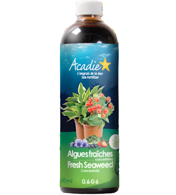 Acadie™ Seaweed Fertilizer