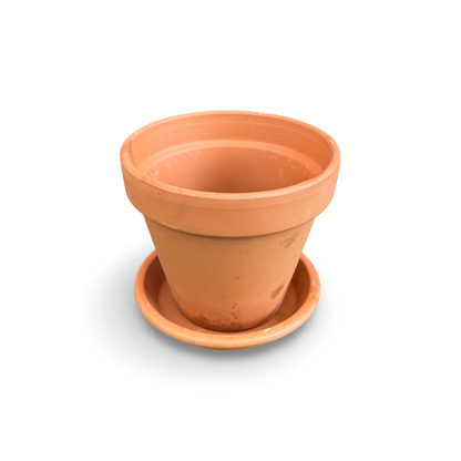 Pot en Terra Cotta 7"