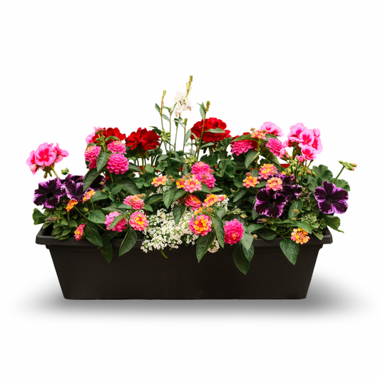 Boîte à fleurs mélangée (24")