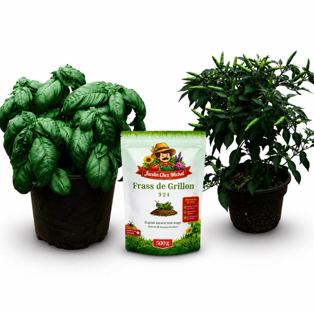 Father's Day Gift Set – Basil, Chili Pepper & Cricket Frass