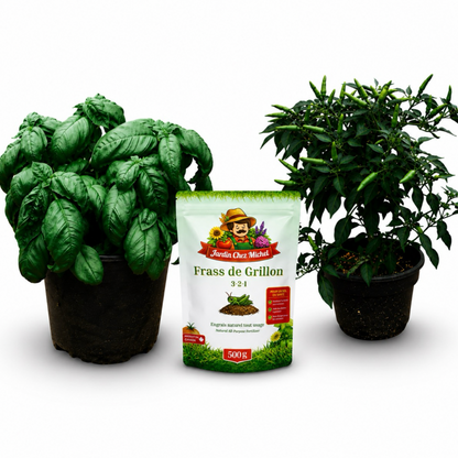 Father's Day Gift Set – Basil, Chili Pepper & Cricket Frass