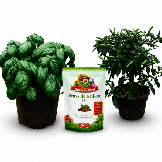 Father's Day Gift Set – Basil, Chili Pepper & Cricket Frass