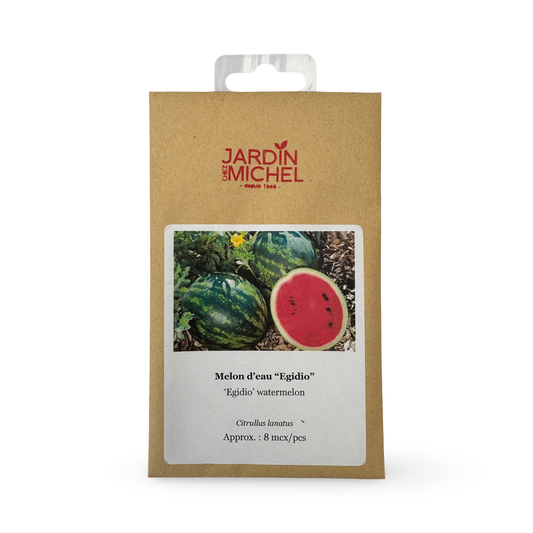 Watermelon seeds