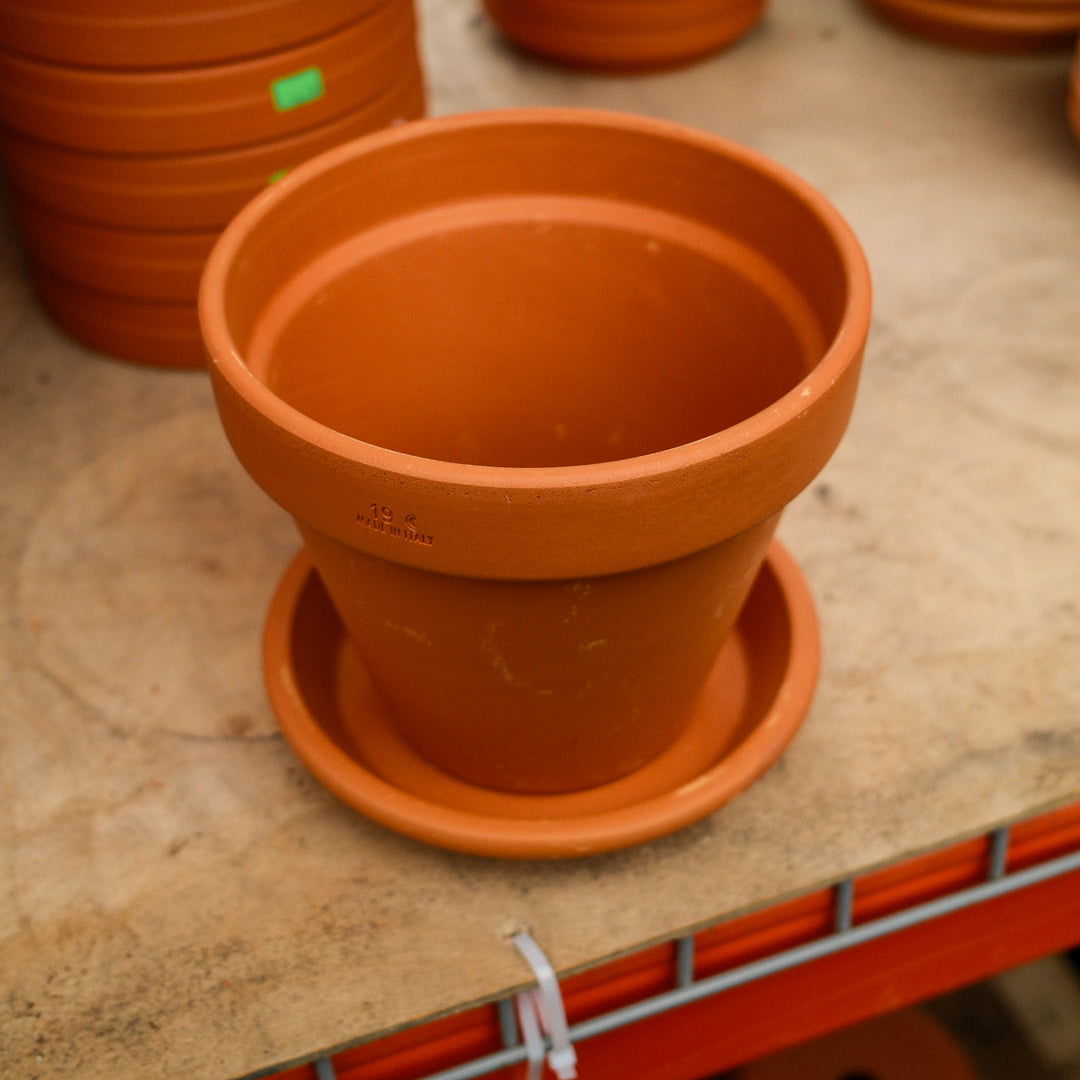Pot en Terra Cotta 7"