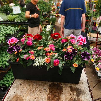 Boîte à fleurs mélangée (24")