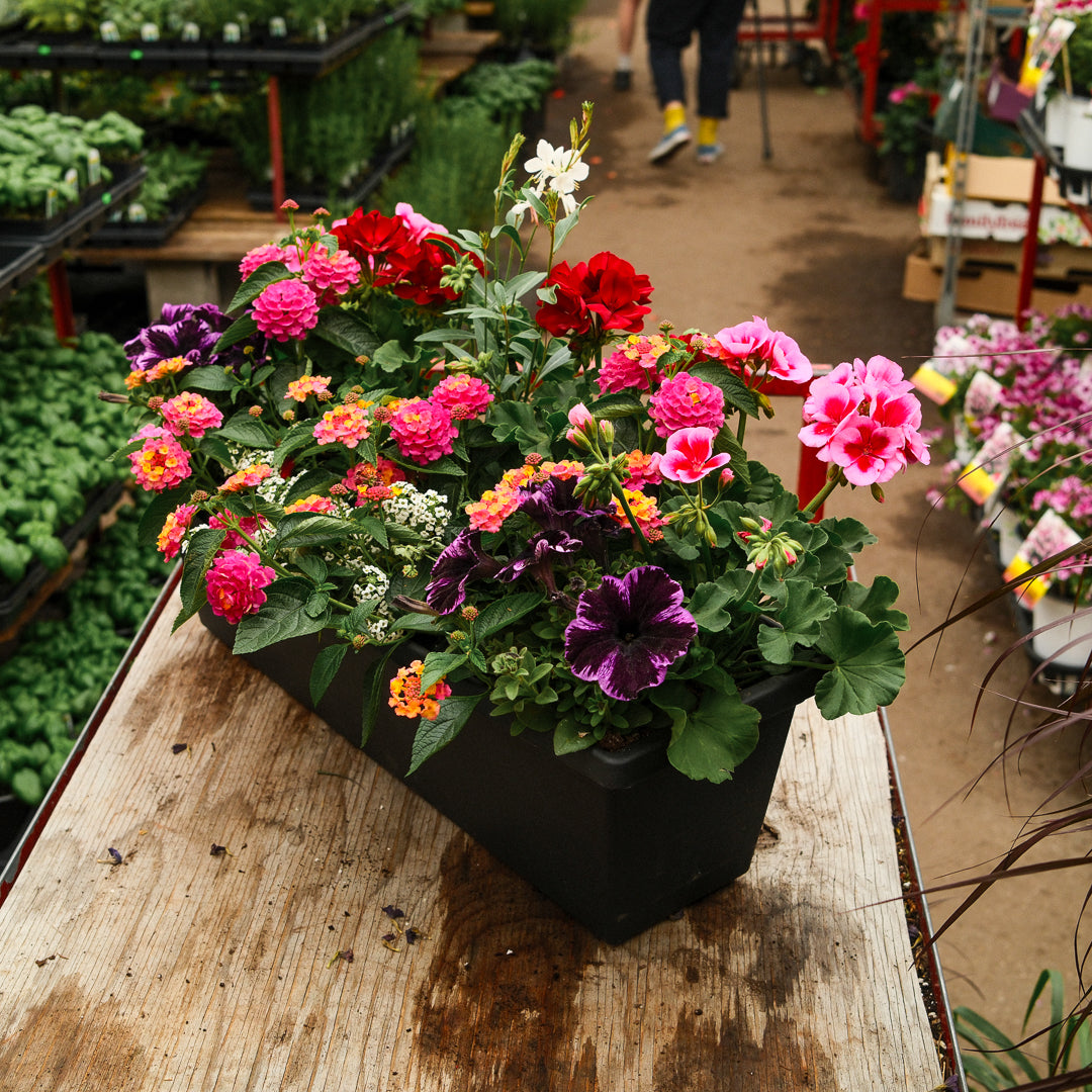 Boîte à fleurs mélangée (24")