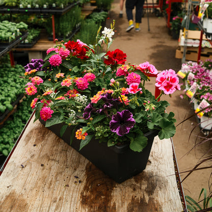 Boîte à fleurs mélangée (24")