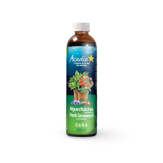 Acadie™ Seaweed Fertilizer 