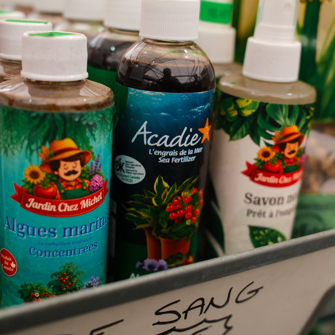 Engrais d'algues Acadie™