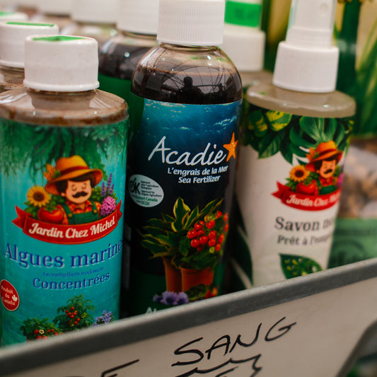 Acadie™ Seaweed Fertilizer 